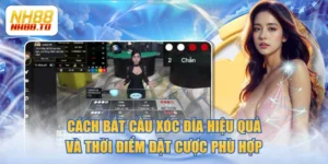 Hướng Dẫn NH88 | Cẩm Nang Cá Cược Toàn Diện Cho Thành Viên - royal69.click