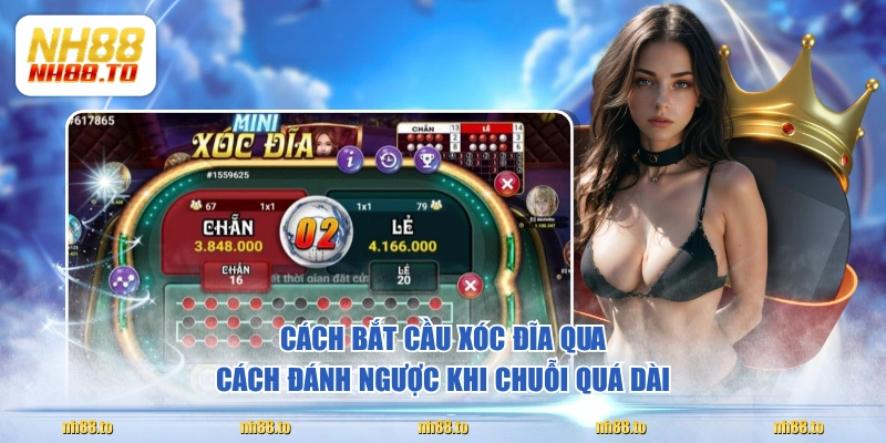 Cách Bắt Cầu Xóc Đĩa Hiệu Quả Và Thời Điểm Đặt Cược Phù Hợp - royal69.click