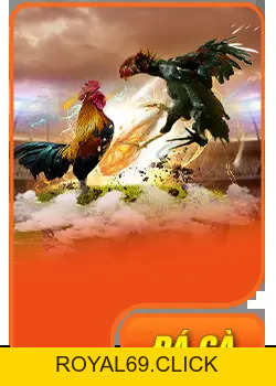 NH88 🎖️ Link Vào Trang Chủ NH88 Chính Thức Không Bị Chặn - royal69.click