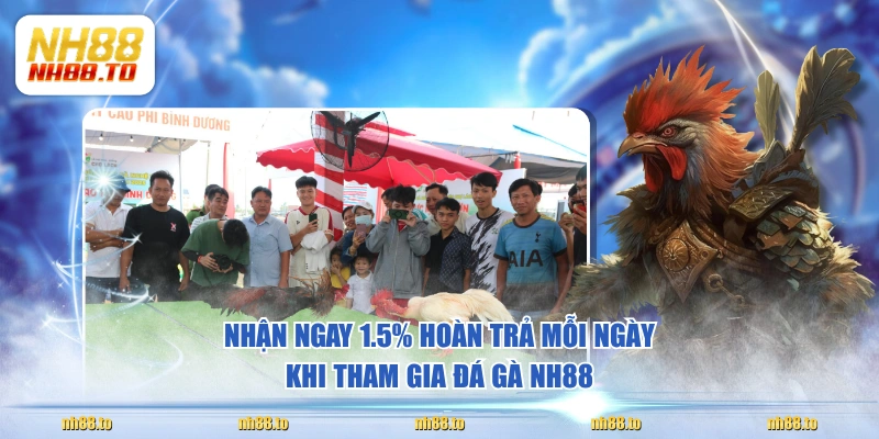 Đá Gà NH88 Quy Tụ 1000+ Chiến Kê Triệu Đô Lừng Danh - royal69.click