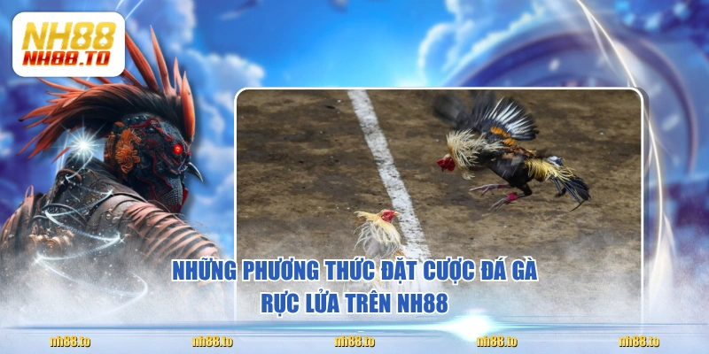 Đá Gà NH88 Quy Tụ 1000+ Chiến Kê Triệu Đô Lừng Danh - royal69.click